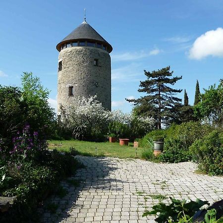 Au Moulin Geant Bed & Breakfast Rochefort-sur-Loire Eksteriør bilde