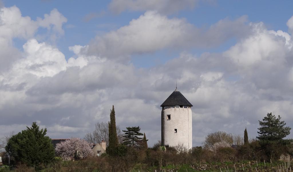 Au Moulin Geant Bed & Breakfast Rochefort-sur-Loire Eksteriør bilde