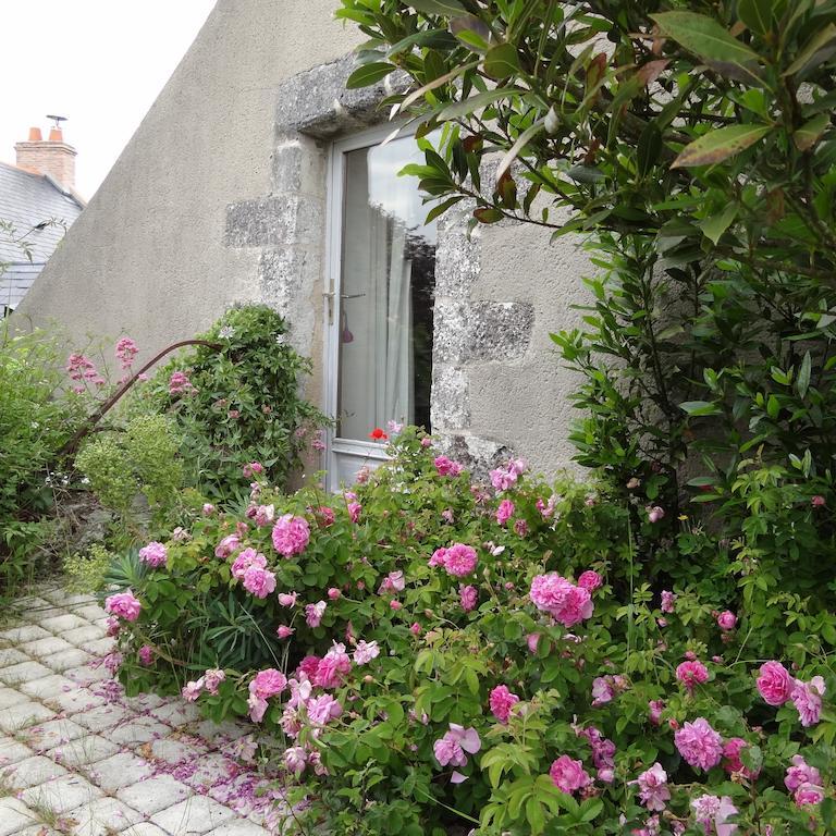 Au Moulin Geant Bed & Breakfast Rochefort-sur-Loire Rom bilde